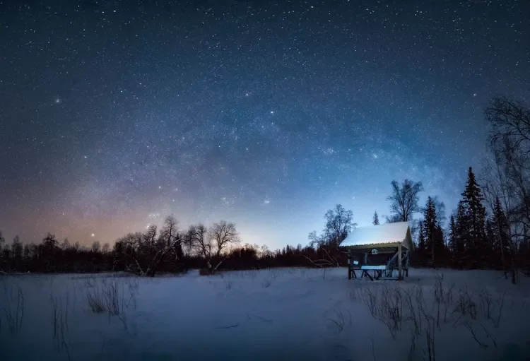 A Year-End Walk Through Nature's Most Remarkable Ecological Moments