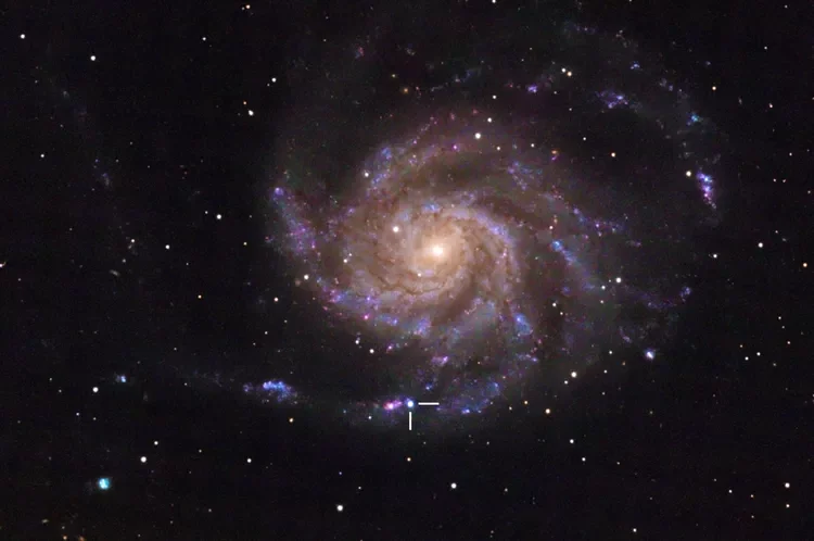 Pinwheel galaxy with a supernova highlighted