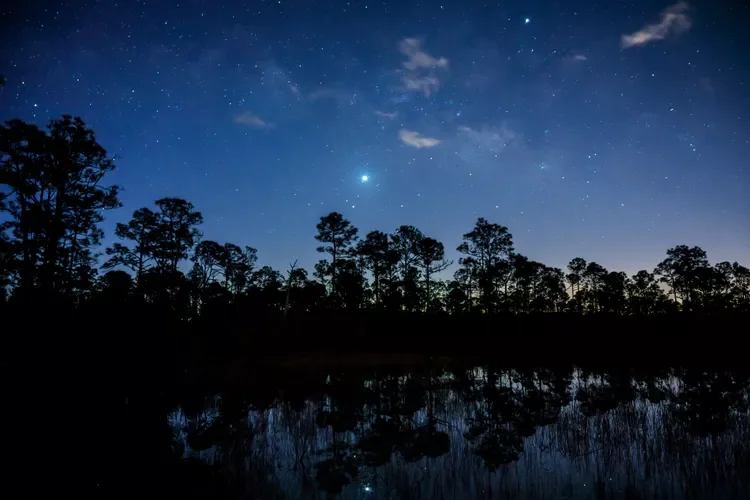 Very early morning shot of Venus rising (to the left of Jupiter) over pond and Slash Pine trees with reflection in Babcock Wildlife Management Area near Punta Gorda, Florida