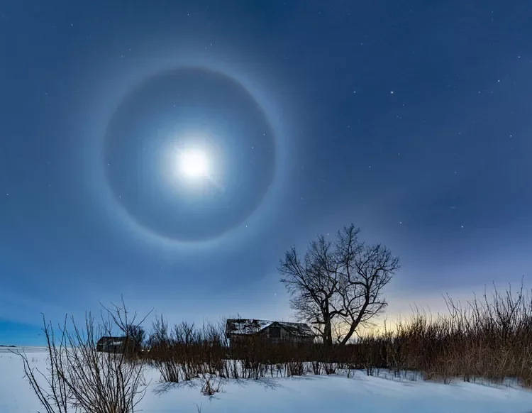 Why Clouds Form Rings and Halos in the Sky