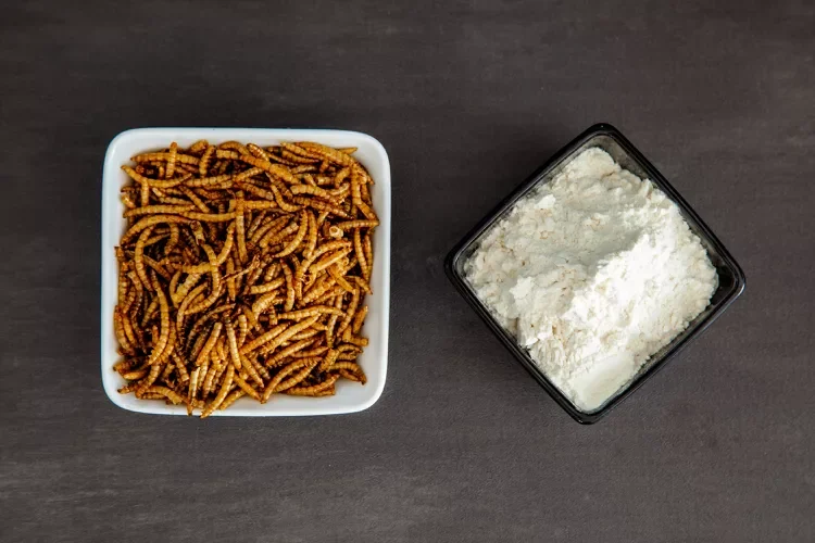 mealworms and flour