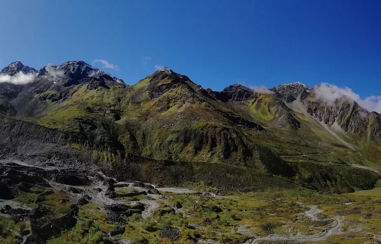View of the region where the researchers studied moss populations. 