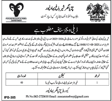bhawalpur jobs 2025